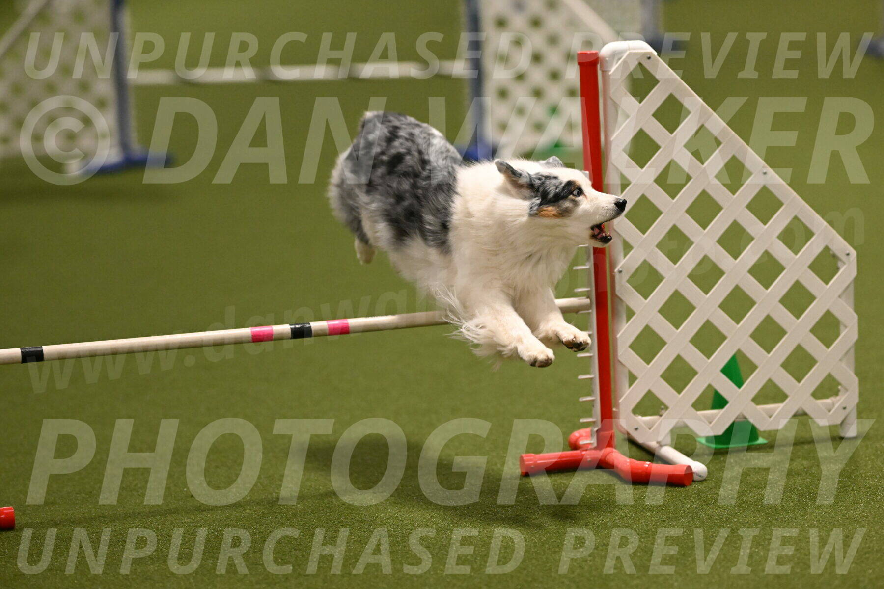 Sunny-Claudia-Brydon-09253