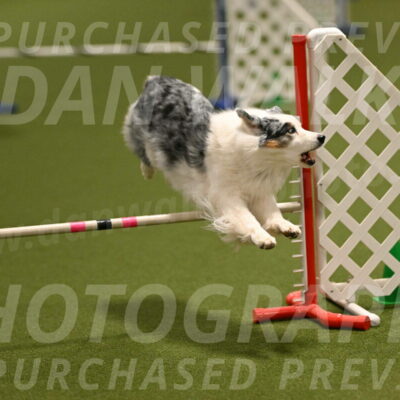 Sunny-Claudia-Brydon-09253