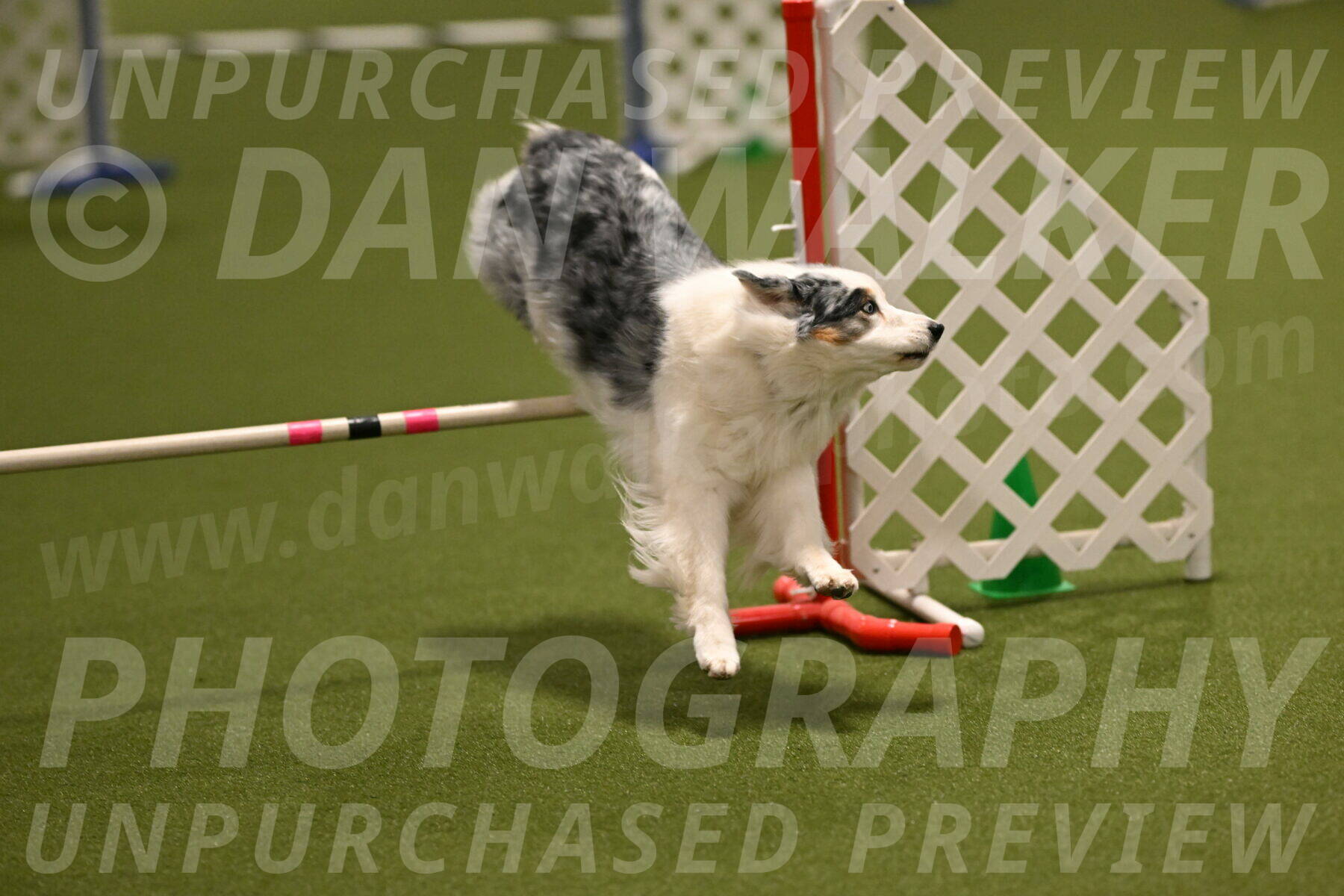 Sunny-Claudia-Brydon-09254