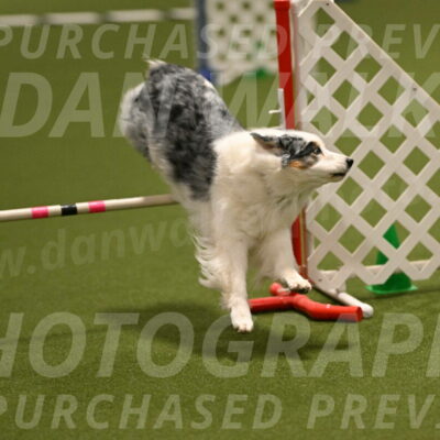 Sunny-Claudia-Brydon-09254