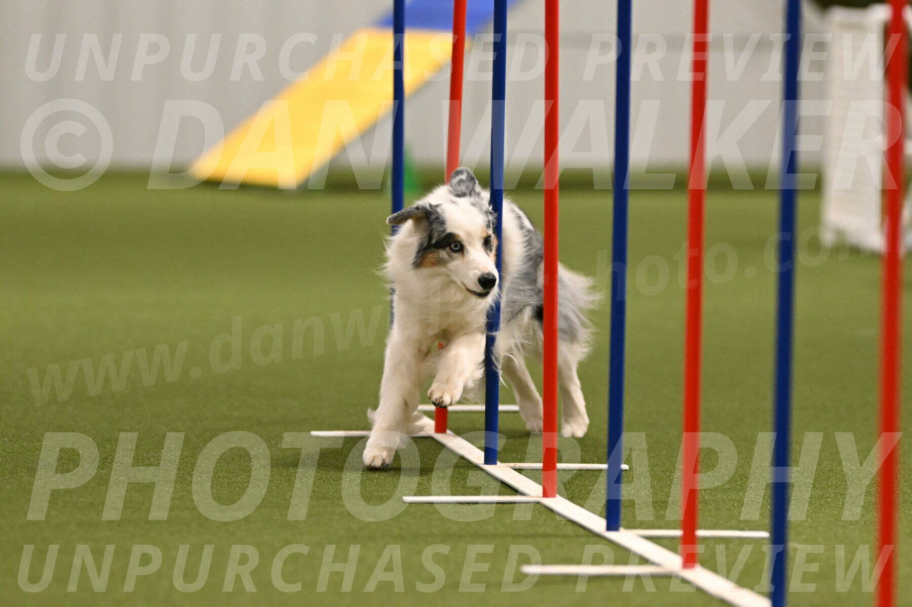 Sunny-Claudia-Brydon-09255