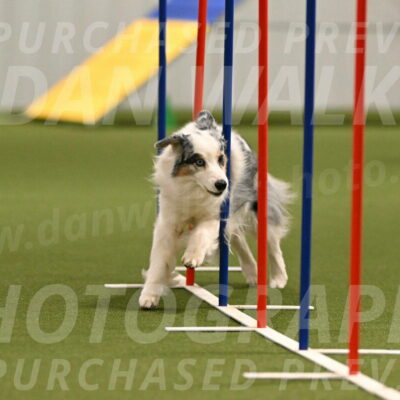 Sunny-Claudia-Brydon-09255