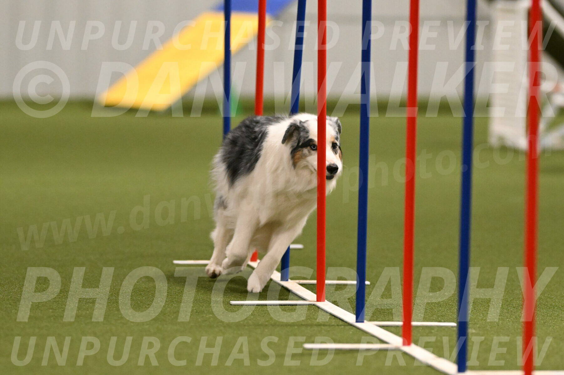 Sunny-Claudia-Brydon-09256