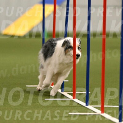 Sunny-Claudia-Brydon-09256