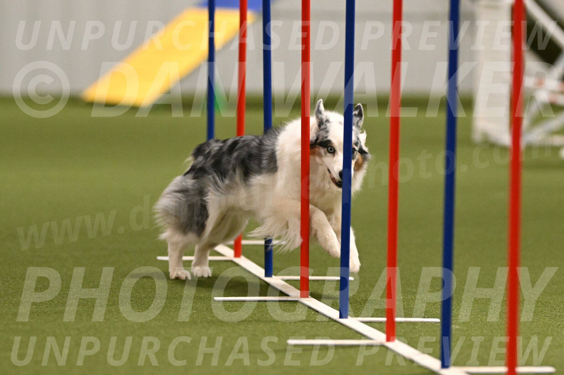 Sunny-Claudia-Brydon-09257