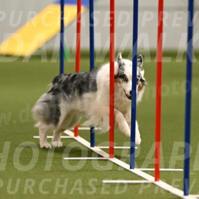 Sunny-Claudia-Brydon-09257