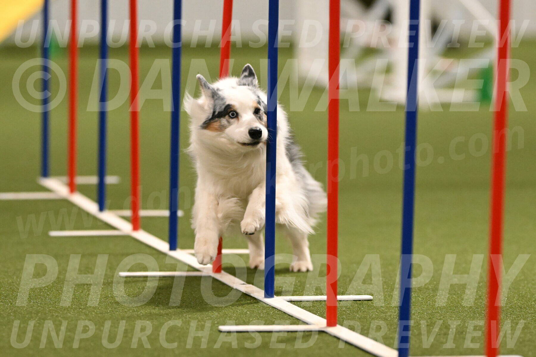 Sunny-Claudia-Brydon-09258