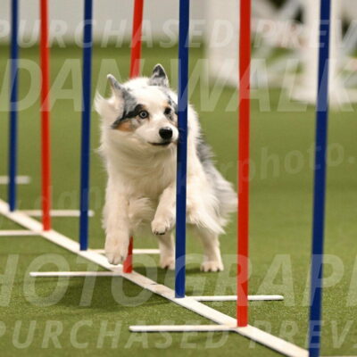 Sunny-Claudia-Brydon-09258