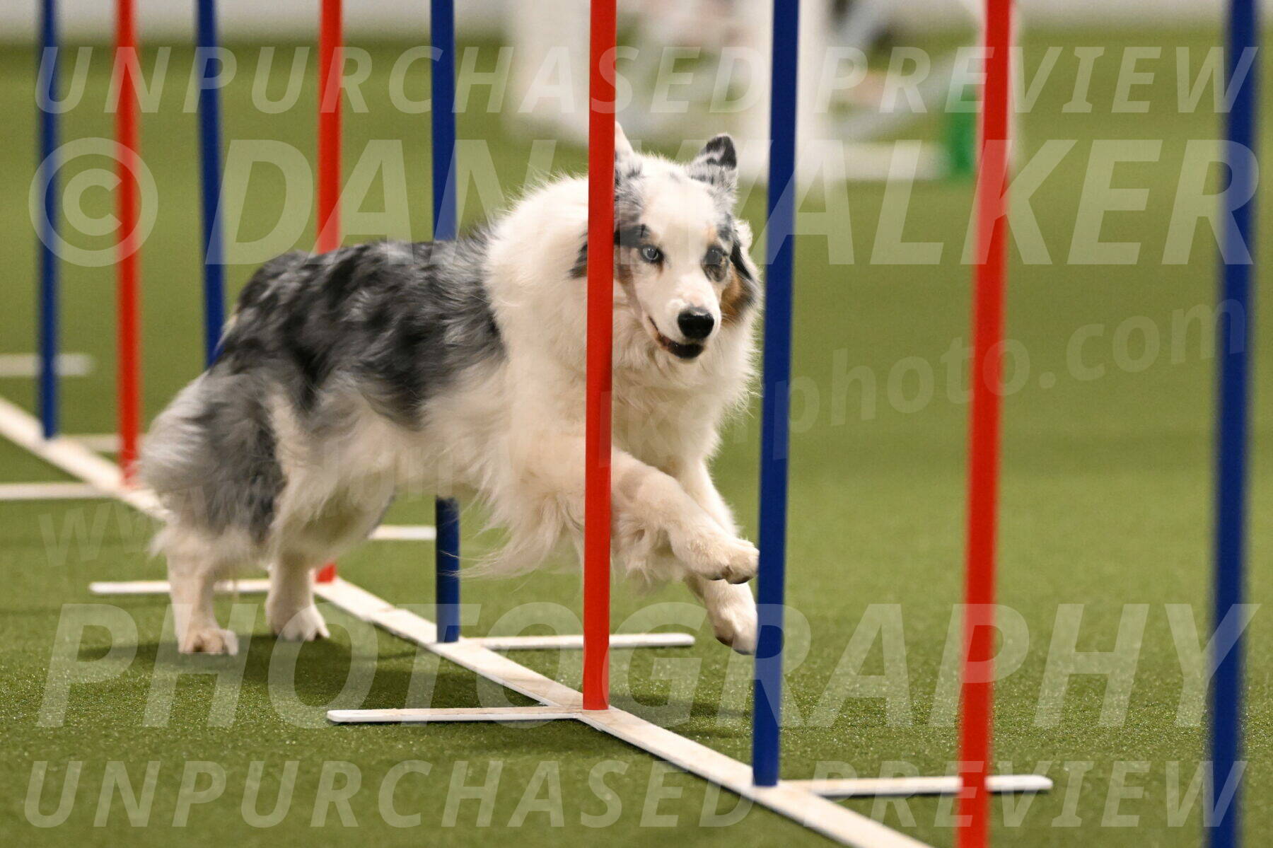 Sunny-Claudia-Brydon-09259