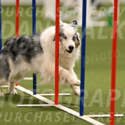 Sunny-Claudia-Brydon-09259