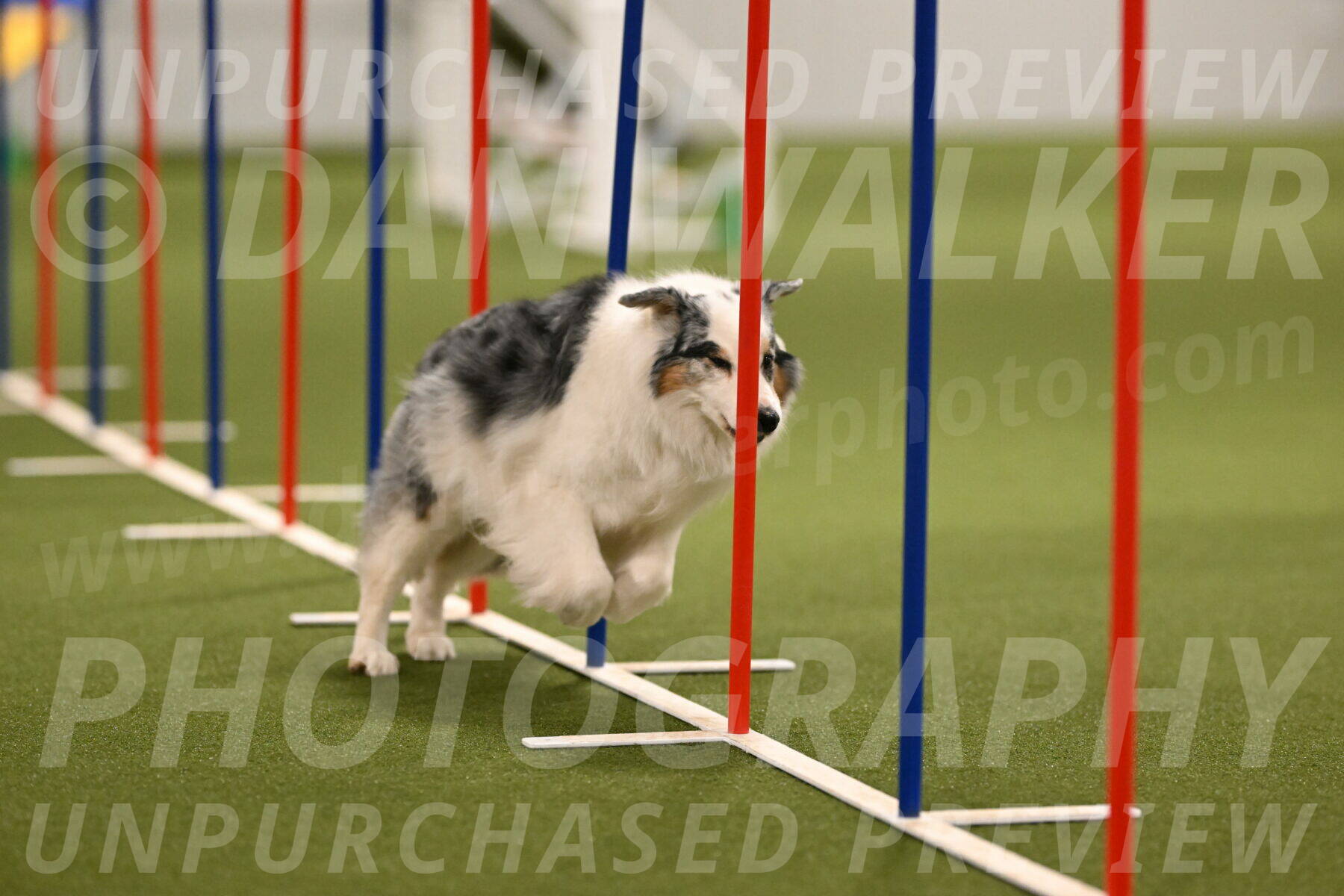 Sunny-Claudia-Brydon-09260