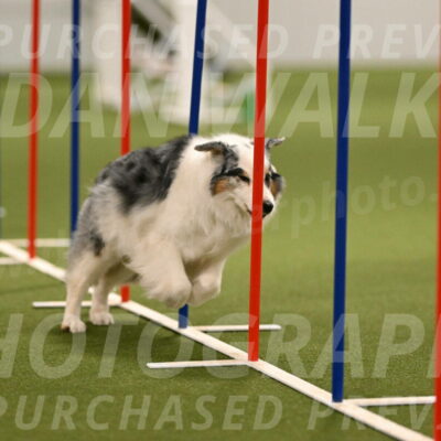 Sunny-Claudia-Brydon-09260