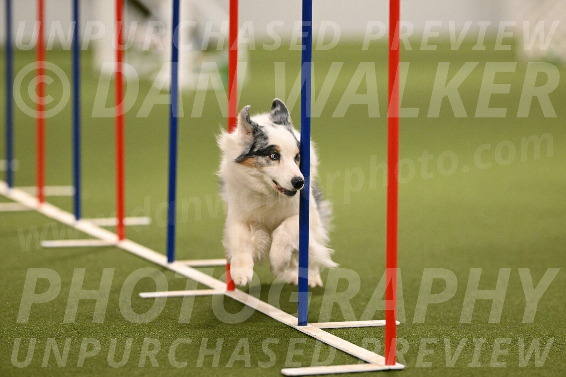 Sunny-Claudia-Brydon-09261