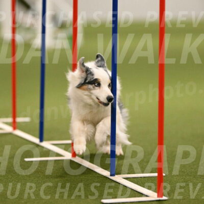 Sunny-Claudia-Brydon-09261