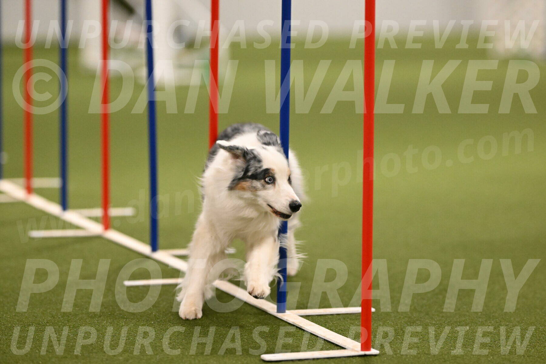 Sunny-Claudia-Brydon-09262