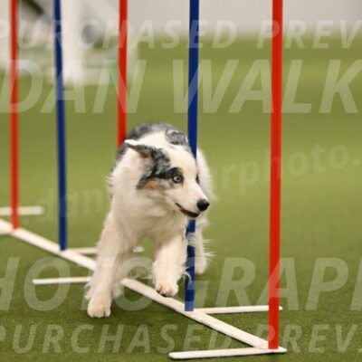 Sunny-Claudia-Brydon-09262