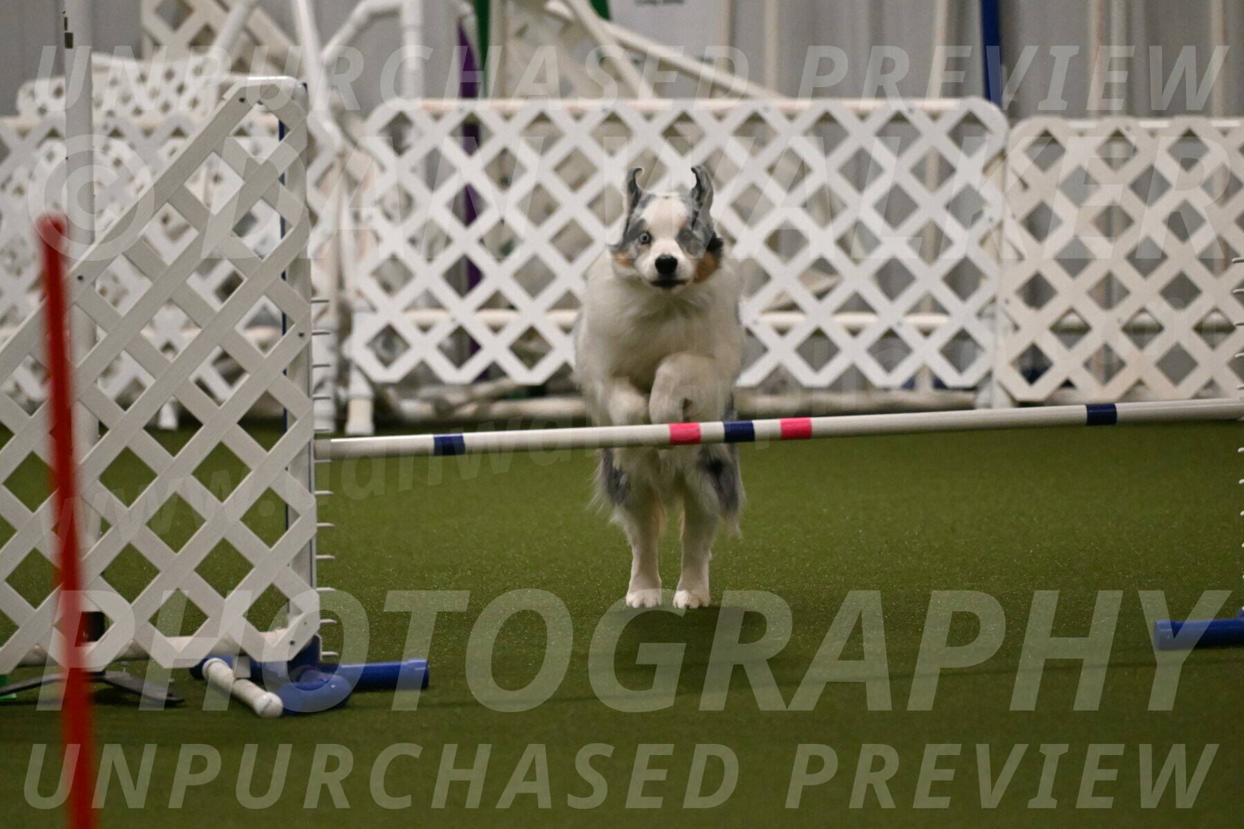 Sunny-Claudia-Brydon-09263