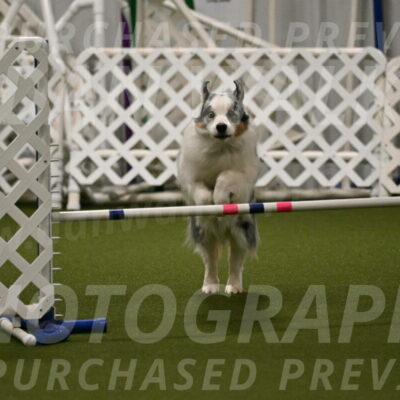 Sunny-Claudia-Brydon-09263