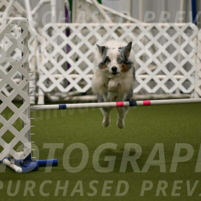 Sunny-Claudia-Brydon-09264