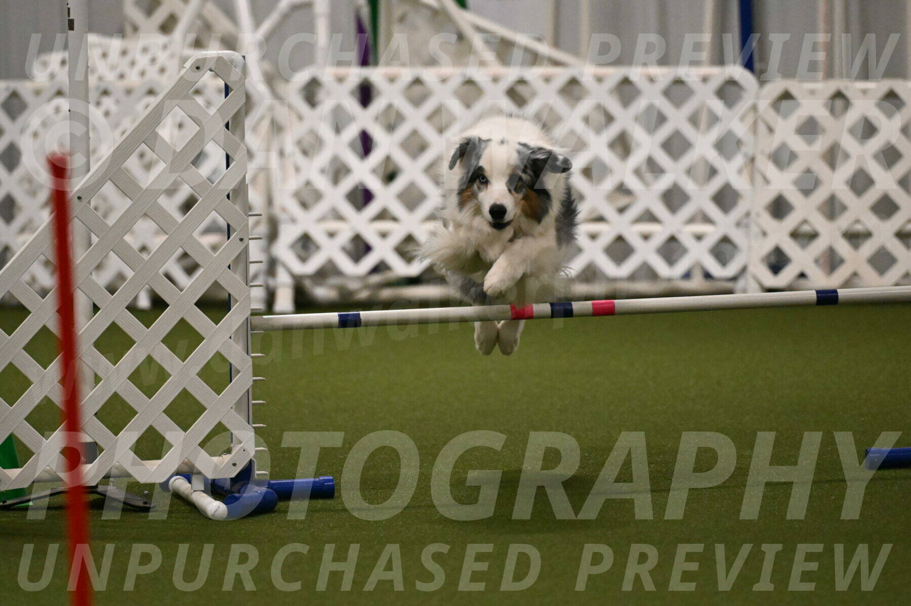 Sunny-Claudia-Brydon-09265