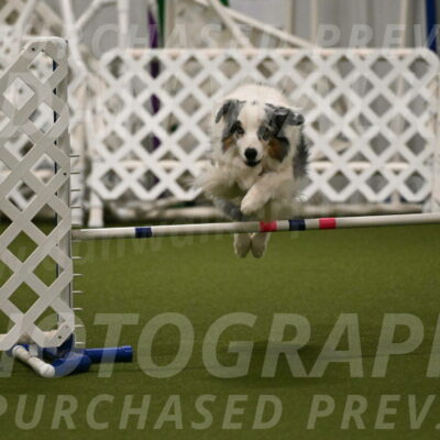 Sunny-Claudia-Brydon-09265