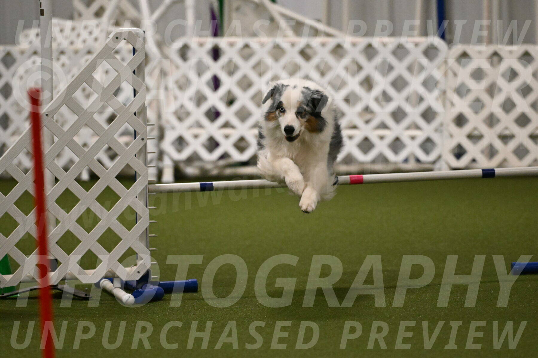 Sunny-Claudia-Brydon-09266