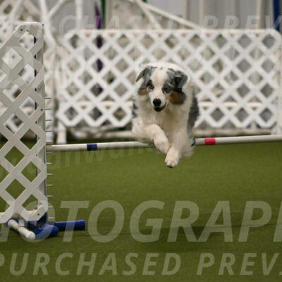 Sunny-Claudia-Brydon-09266