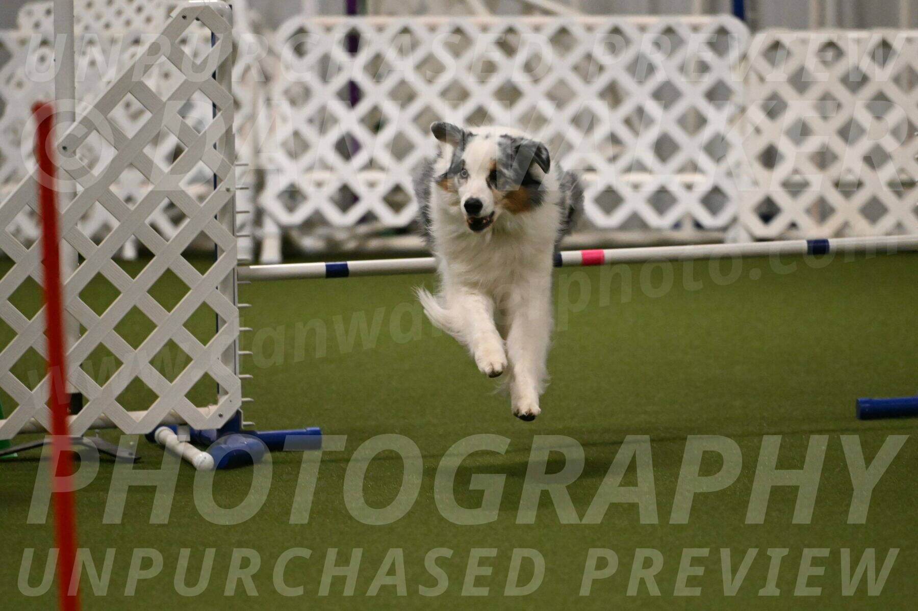 Sunny-Claudia-Brydon-09267