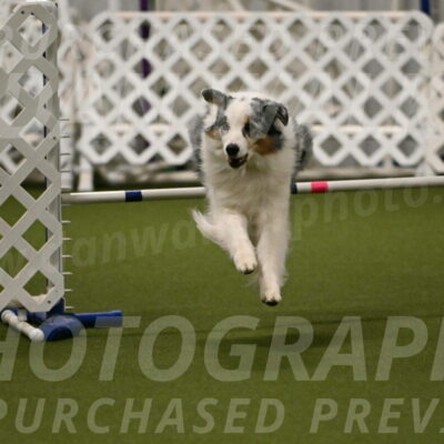 Sunny-Claudia-Brydon-09267