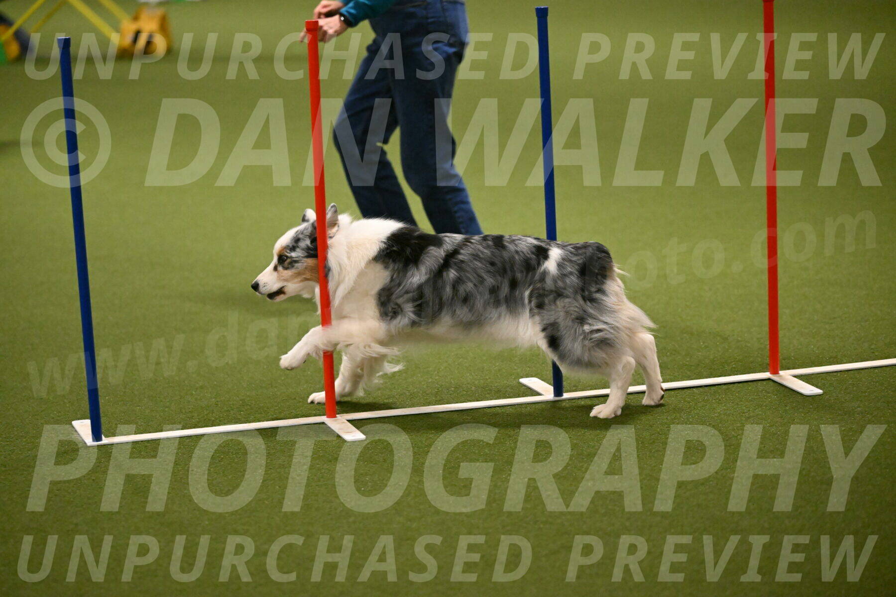 Sunny-Claudia-Brydon-09268