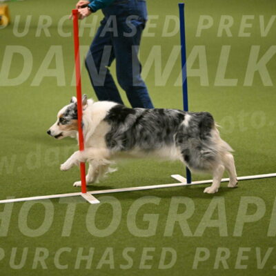 Sunny-Claudia-Brydon-09268