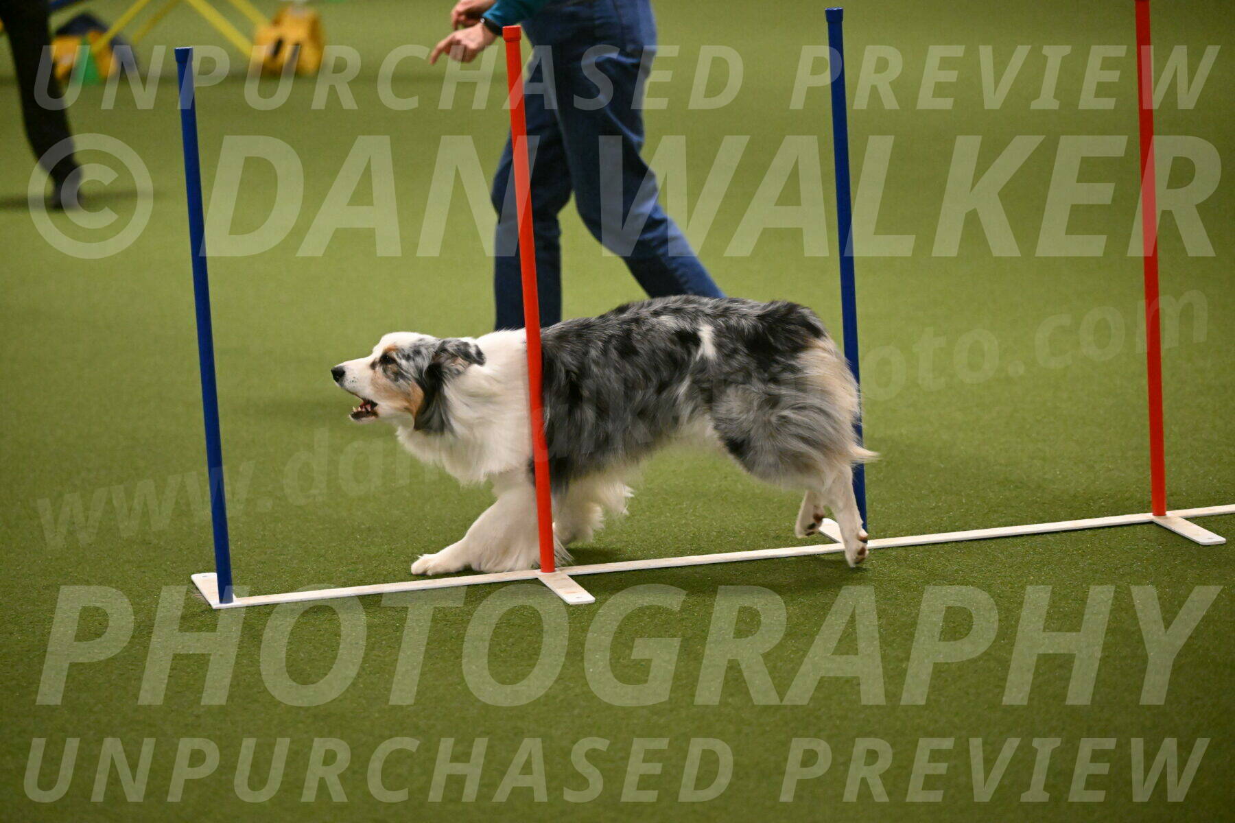 Sunny-Claudia-Brydon-09269