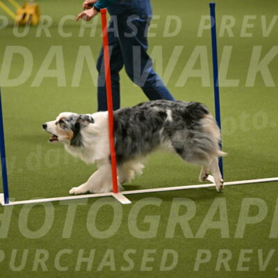 Sunny-Claudia-Brydon-09269