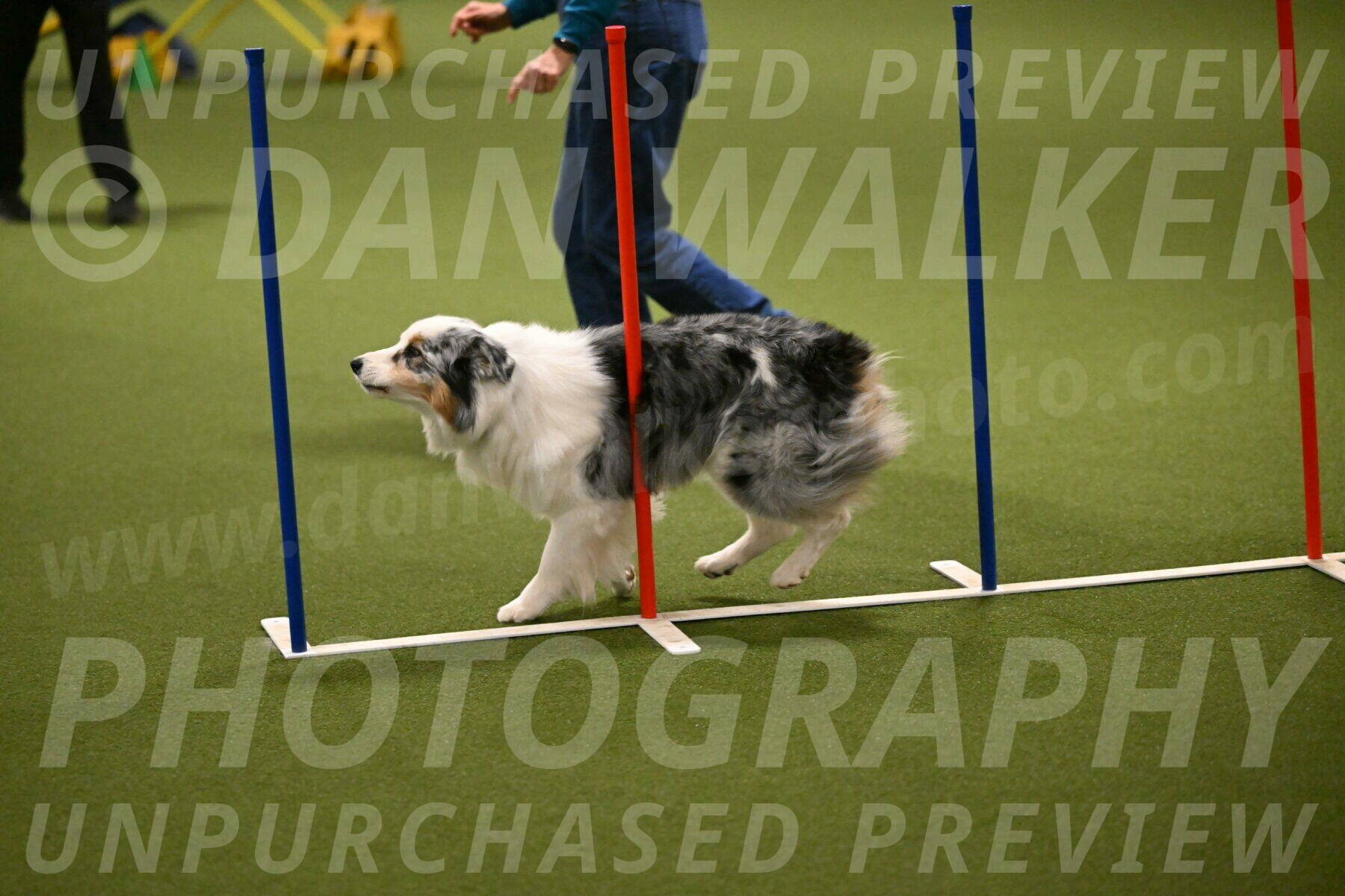 Sunny-Claudia-Brydon-09270