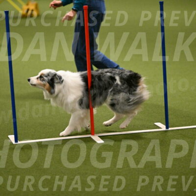 Sunny-Claudia-Brydon-09270