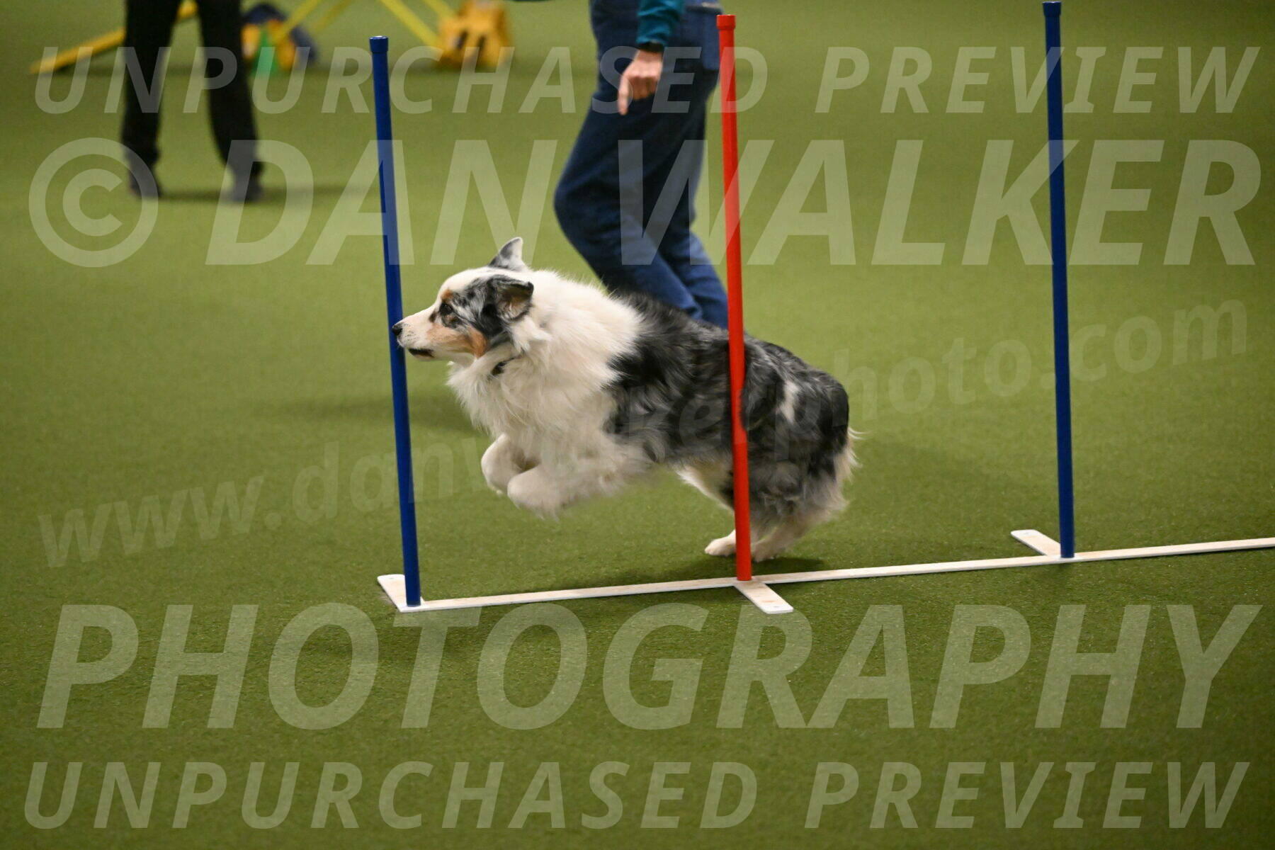 Sunny-Claudia-Brydon-09271