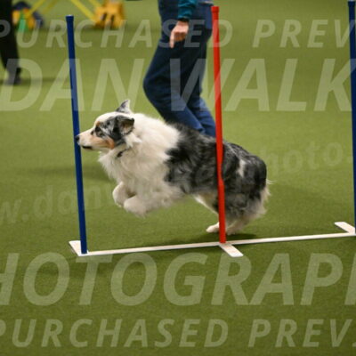 Sunny-Claudia-Brydon-09271