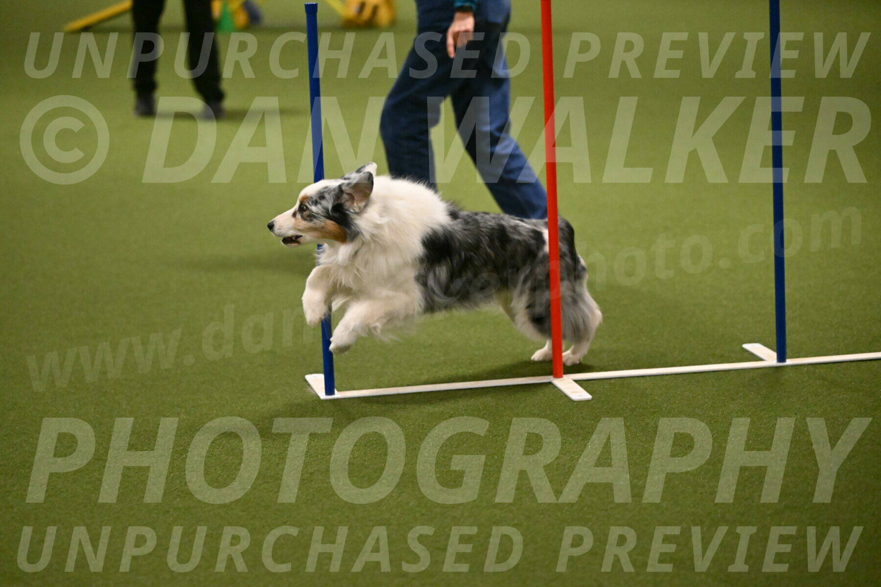 Sunny-Claudia-Brydon-09272