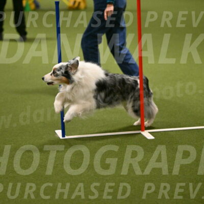 Sunny-Claudia-Brydon-09272