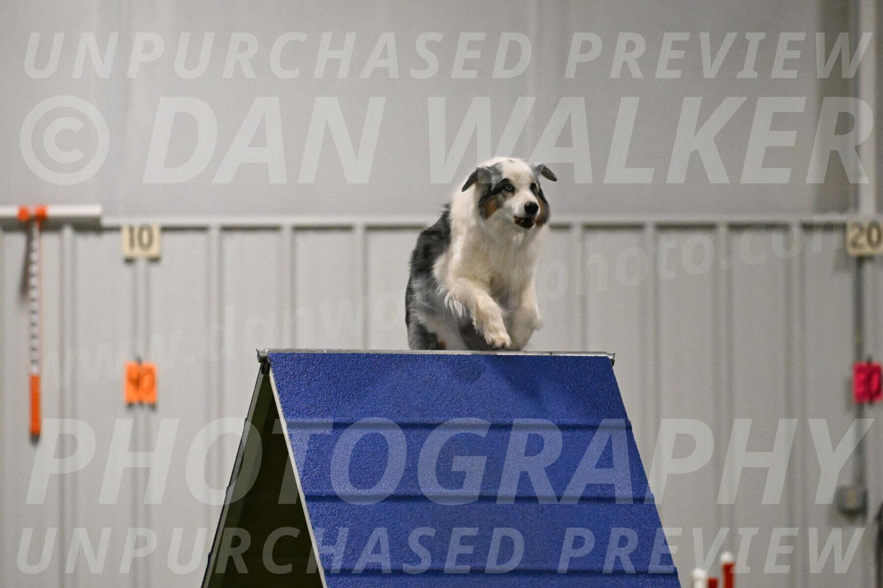 Sunny-Claudia-Brydon-09273