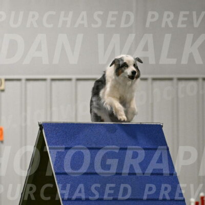 Sunny-Claudia-Brydon-09273