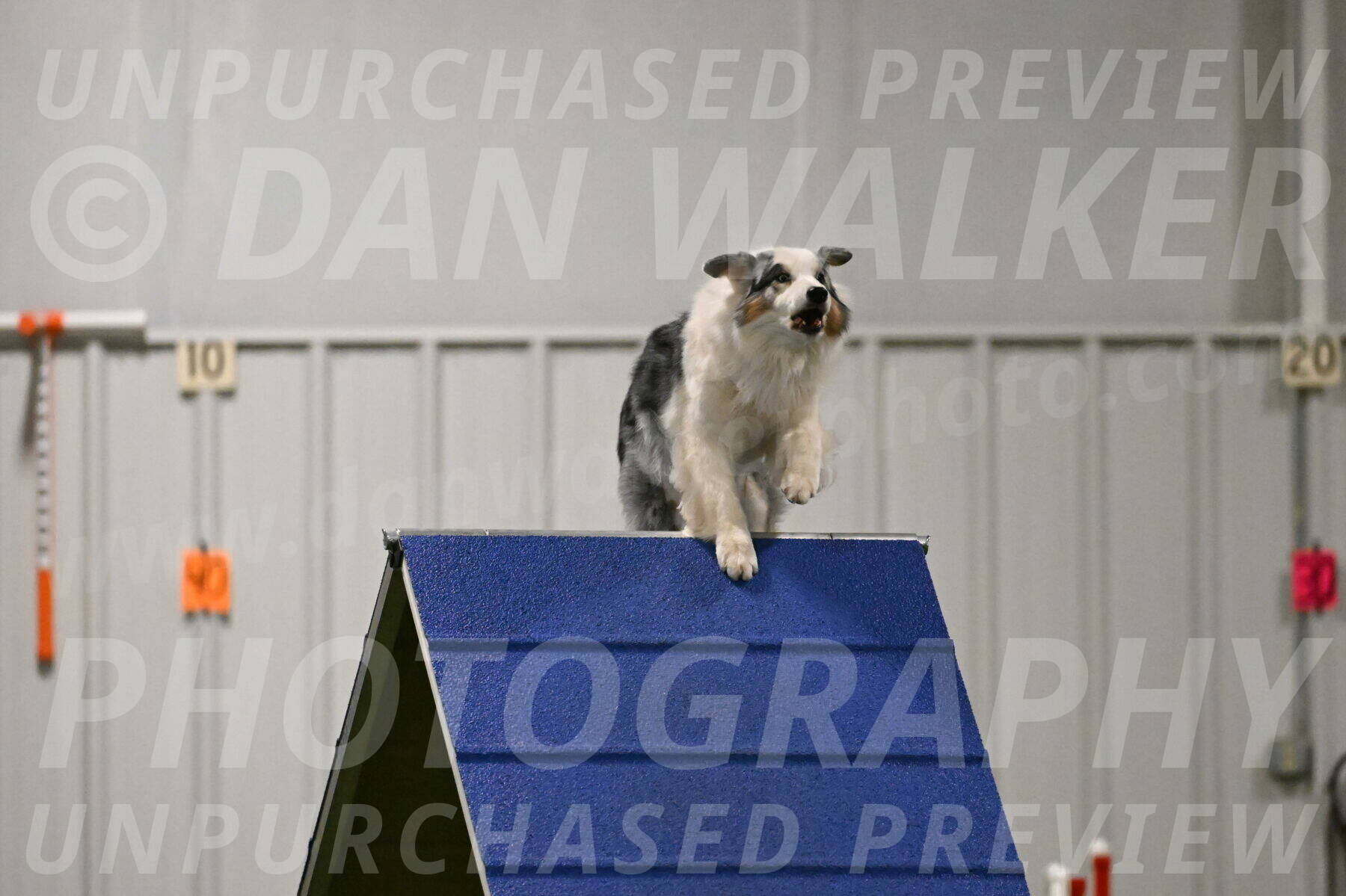 Sunny-Claudia-Brydon-09274