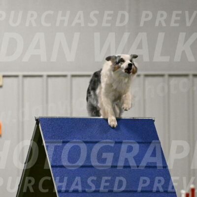 Sunny-Claudia-Brydon-09274