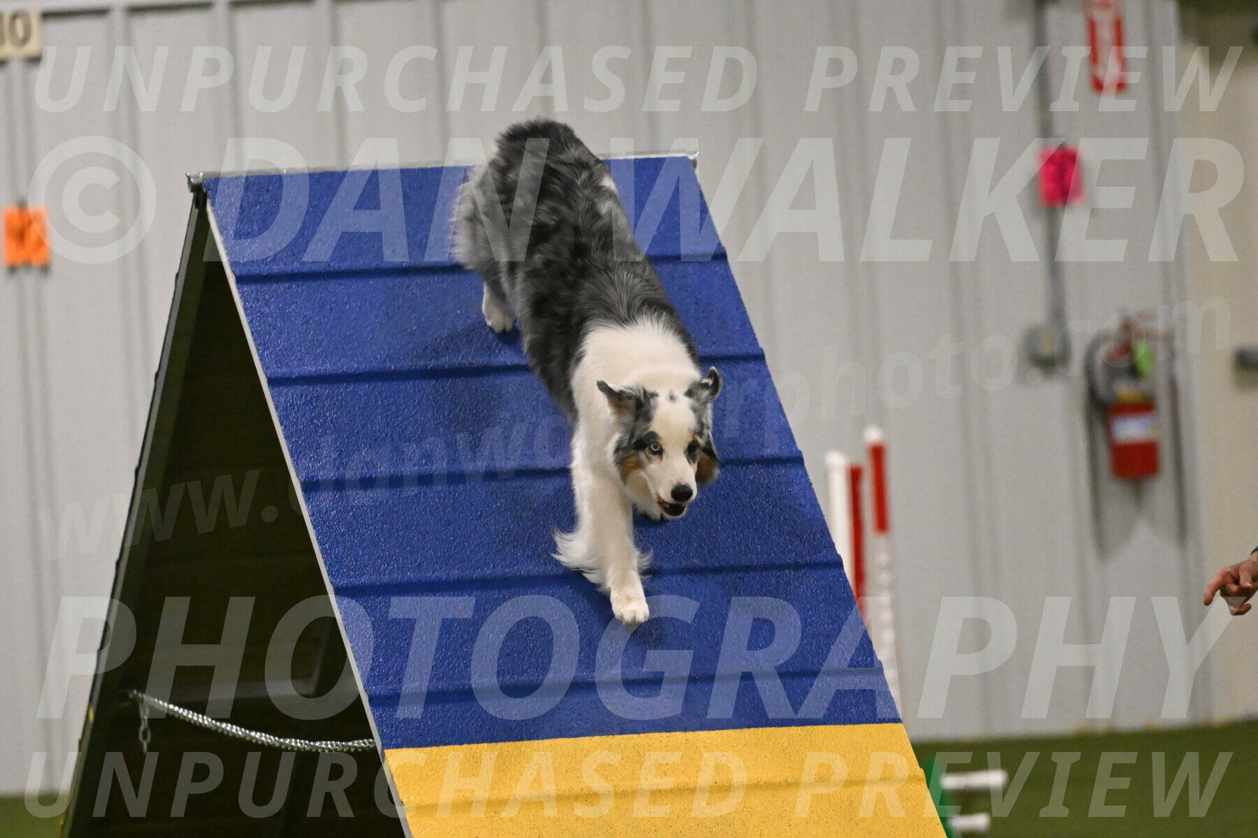 Sunny-Claudia-Brydon-09275