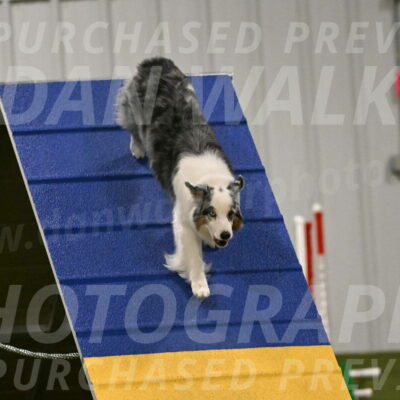 Sunny-Claudia-Brydon-09275