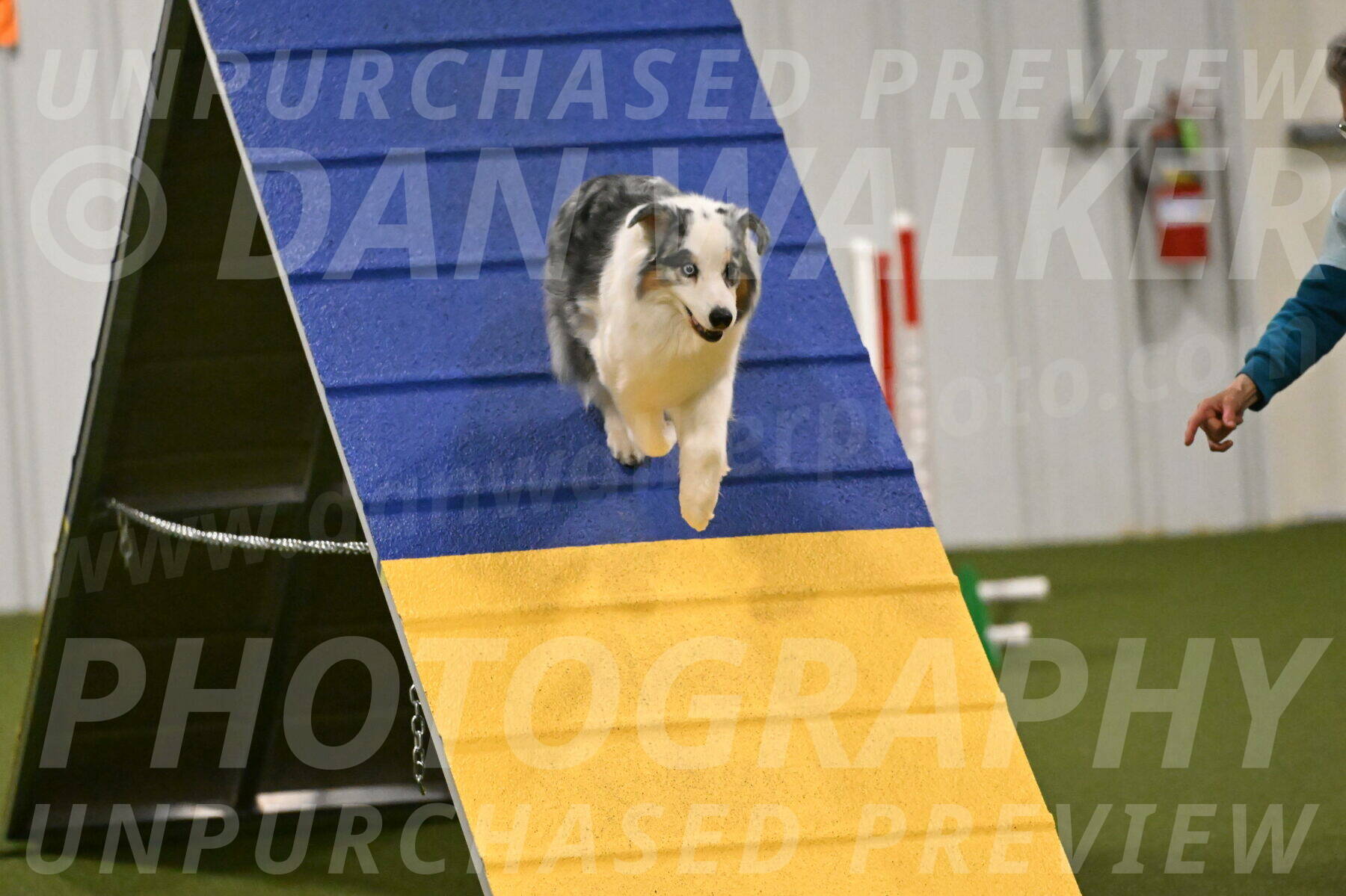 Sunny-Claudia-Brydon-09276