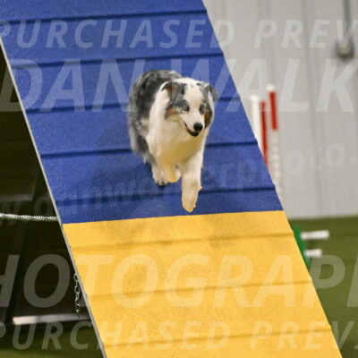 Sunny-Claudia-Brydon-09276