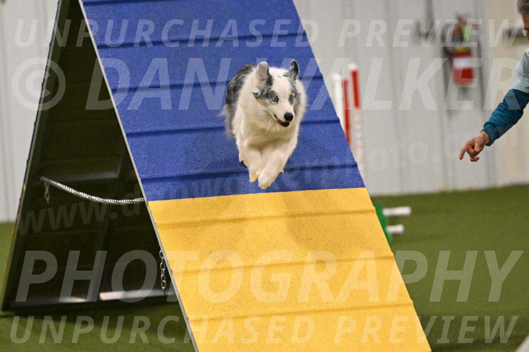 Sunny-Claudia-Brydon-09277