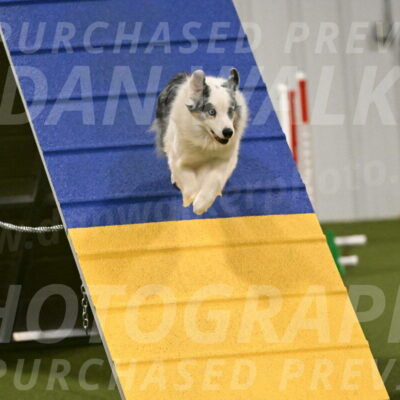 Sunny-Claudia-Brydon-09277