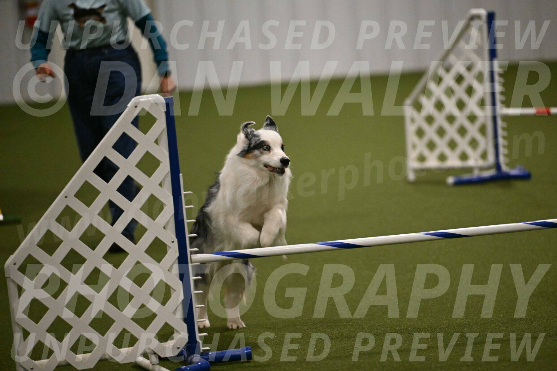 Sunny-Claudia-Brydon-09278